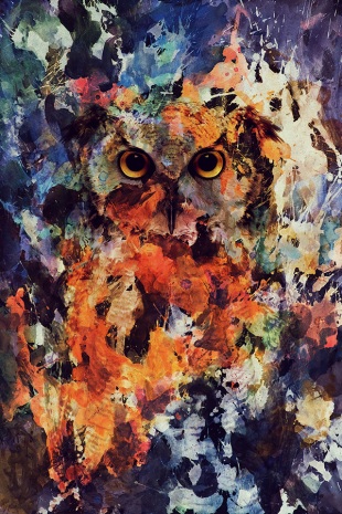 owly5_600