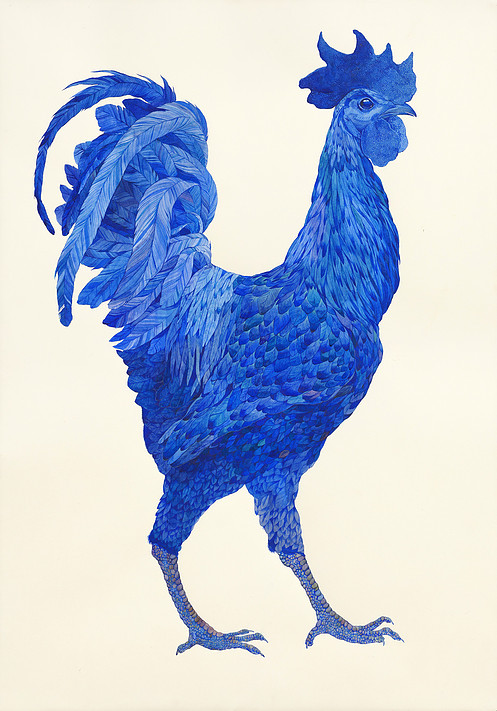 asya-lisina-the-blue-rooster
